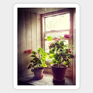 Still Life with Geraniums IV Sticker